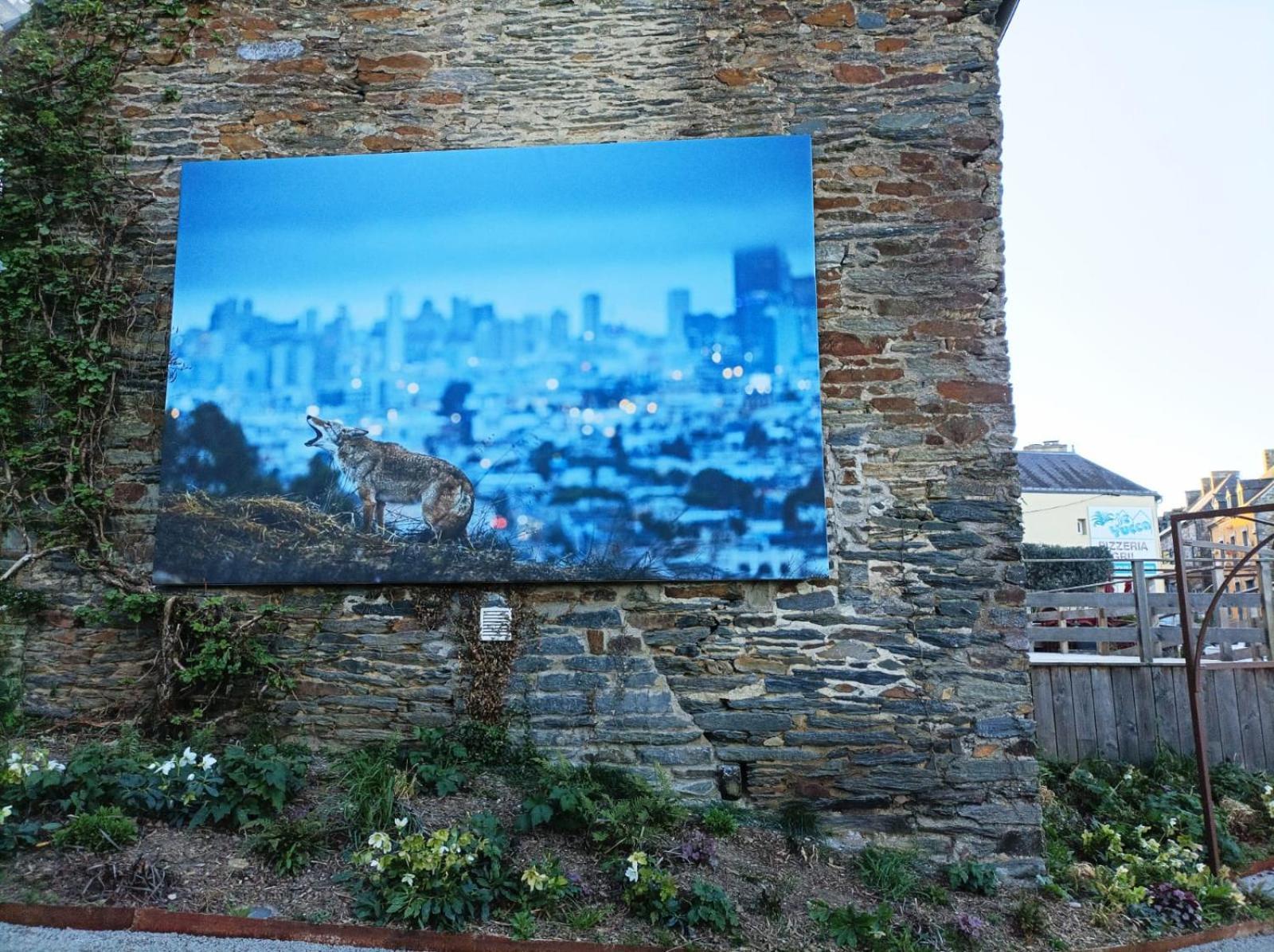 Gite De La Muse Centre Ville - Jardin Serent Luaran gambar