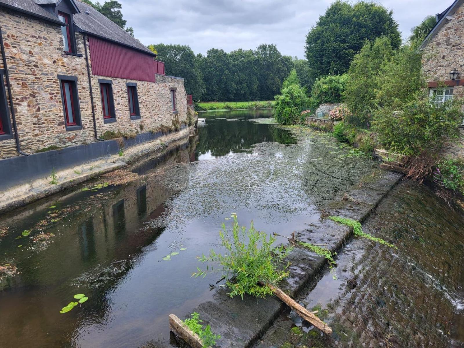 Gite De La Muse Centre Ville - Jardin Serent Luaran gambar